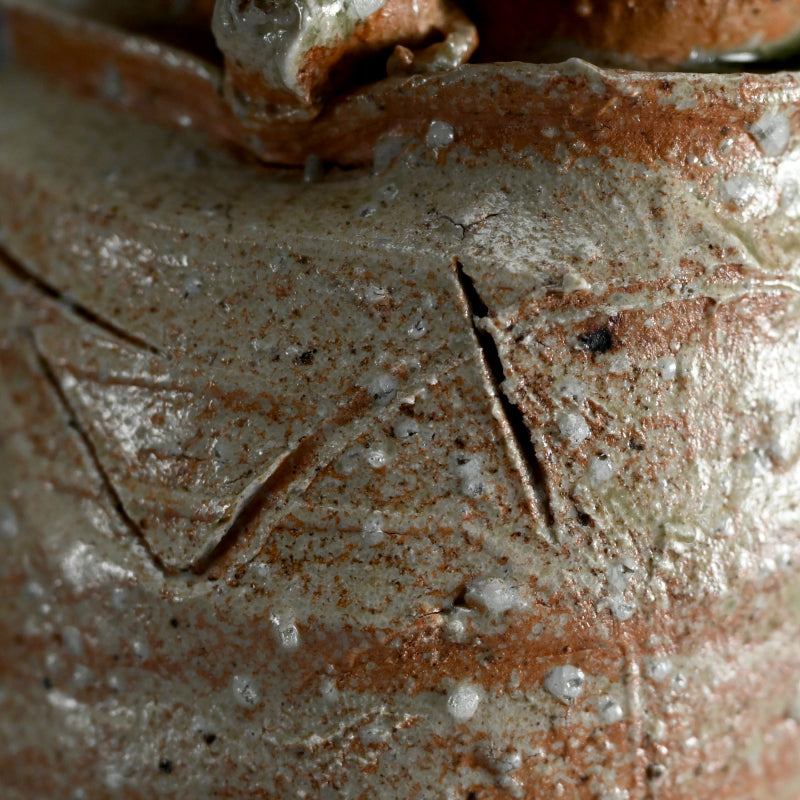 Iga Vase ー辻村 史朗 “伊賀耳付花生”