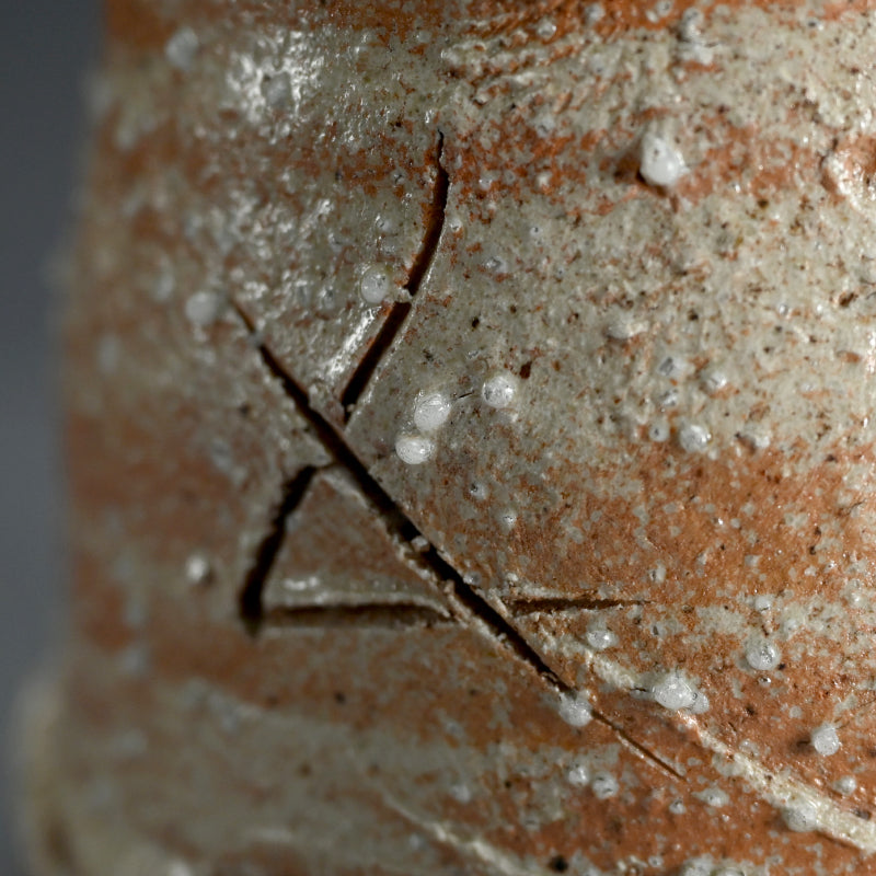 Iga Vase ー辻村 史朗 “伊賀耳付花生”