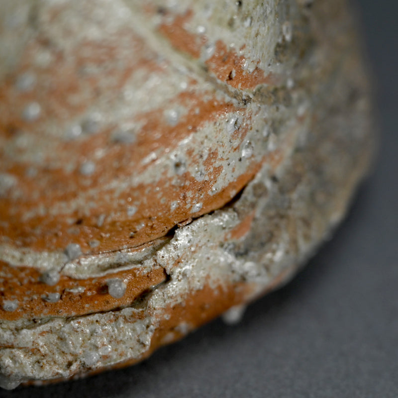 Iga Vase ー辻村 史朗 “伊賀耳付花生”