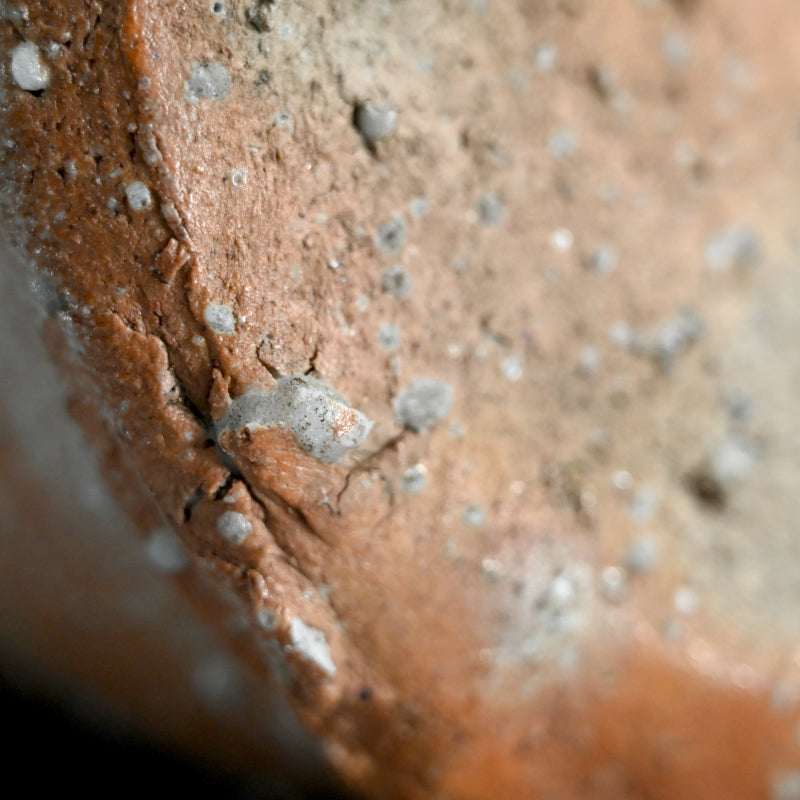 Iga Vase ー辻村 史朗 “伊賀耳付花生”