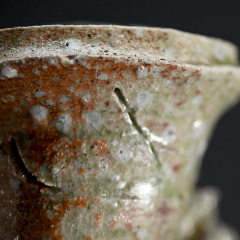 Iga Vase ー辻村 史朗 “伊賀耳付花生”