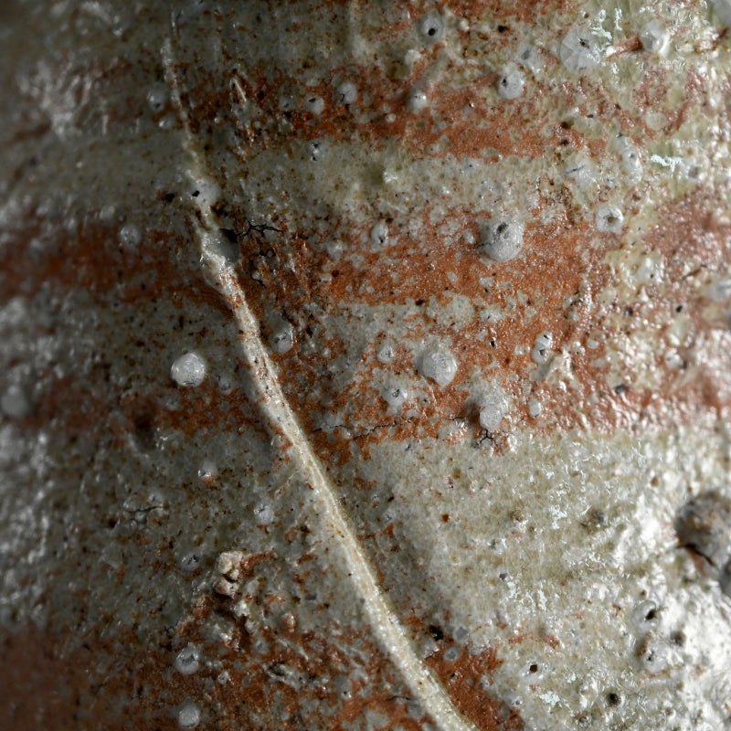 Iga Vase ー辻村 史朗 “伊賀耳付花生”