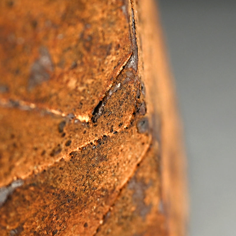 Oxidized Rust Vase ー佐藤 和彦 "鉄化瓷彫文壺"