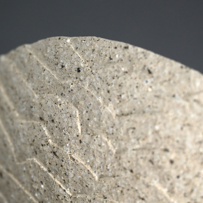 Covered Ceramic Box ー佐藤 和彦 “風化瓷彫文盦子”