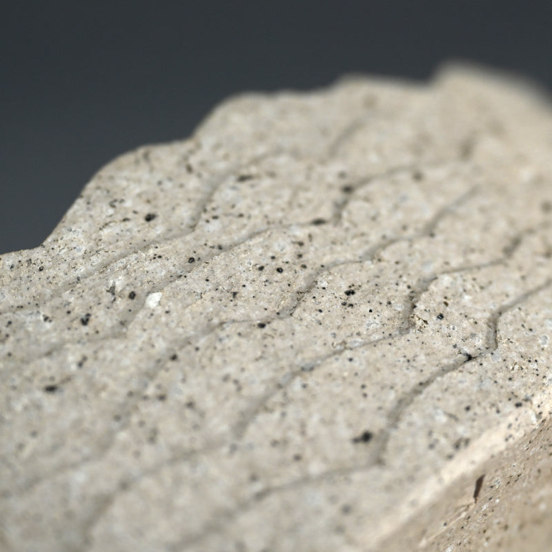 Covered Ceramic Box ー佐藤 和彦 “風化瓷彫文盦子”