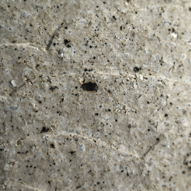 Covered Ceramic Box ー佐藤 和彦 “風化瓷彫文盦子”