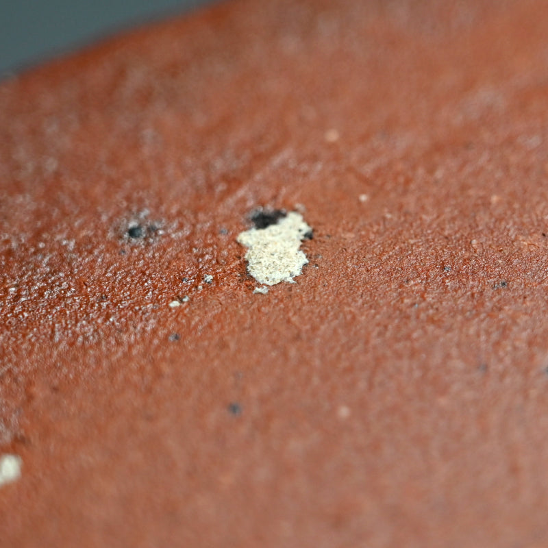 Large Wave Patterned Platter ー番浦史郎“波ノ図 盛皿”