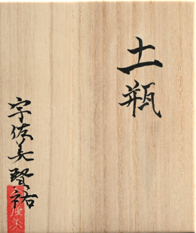 Exceptional Contemporary Porcelain Tea Pot ー宇佐美 賢祐 "土瓶”