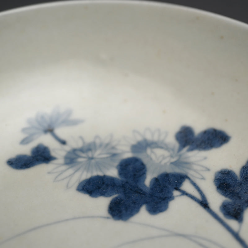 Antique Japanese Hirado Porcelain Dish, Wild Chrysanthemum