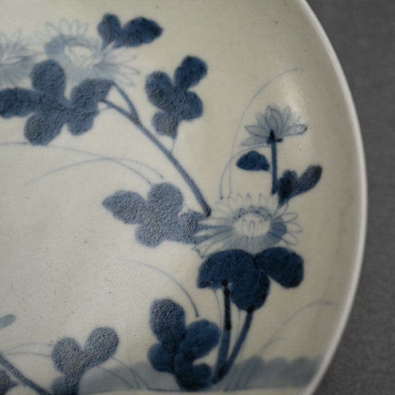 Antique Japanese Hirado Porcelain Dish, Wild Chrysanthemum