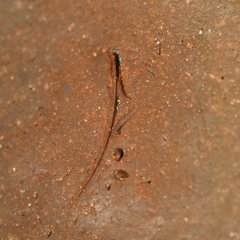 Bizen Henko Vase ー伊勢崎 創 "備前 扁壺"