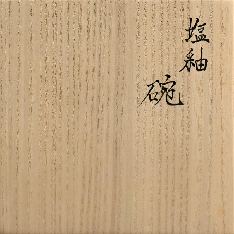 Outstanding Chawan Tea Bowl ー安食 潤 “塩釉 碗”