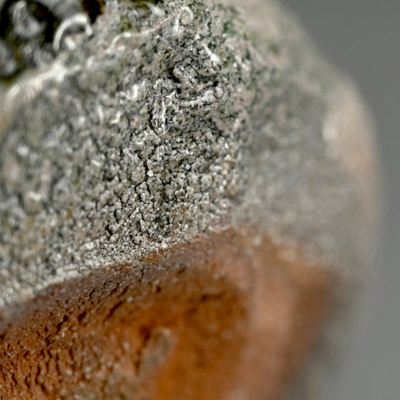 Outstanding Chawan Tea Bowl ー安食 潤 “塩釉 碗”