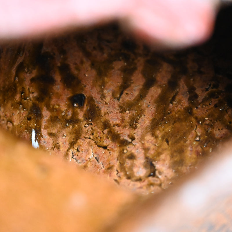 Sculptural Vase ー加藤 裕英 “立体志陶の作品 赤彩”