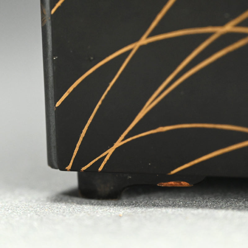 Momoyama to Early Edo Stacking Lacquer Box, Maki-e