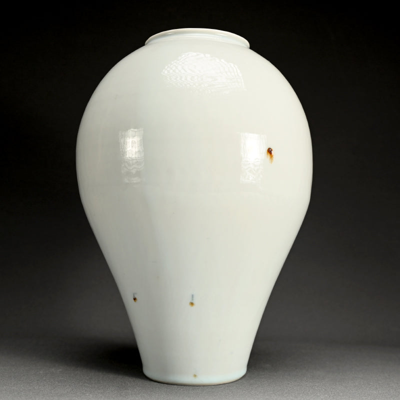 Hauntingly Beautiful Vase ー人見 和樹 "花入"