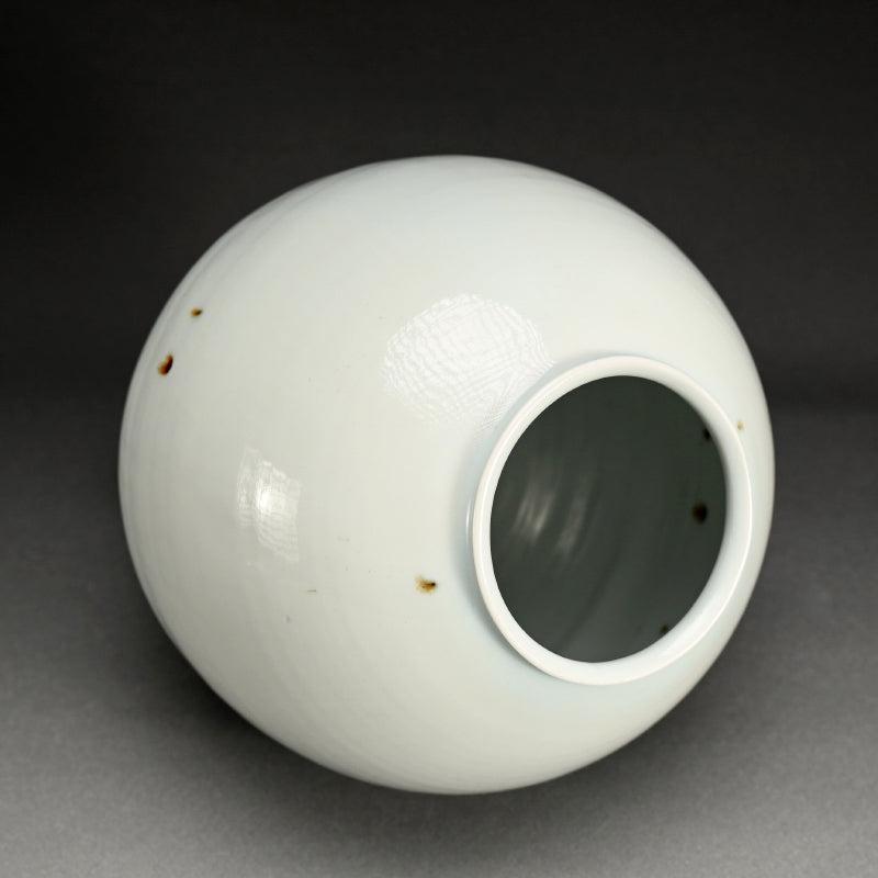 Hauntingly Beautiful Vase ー人見 和樹 "花入"