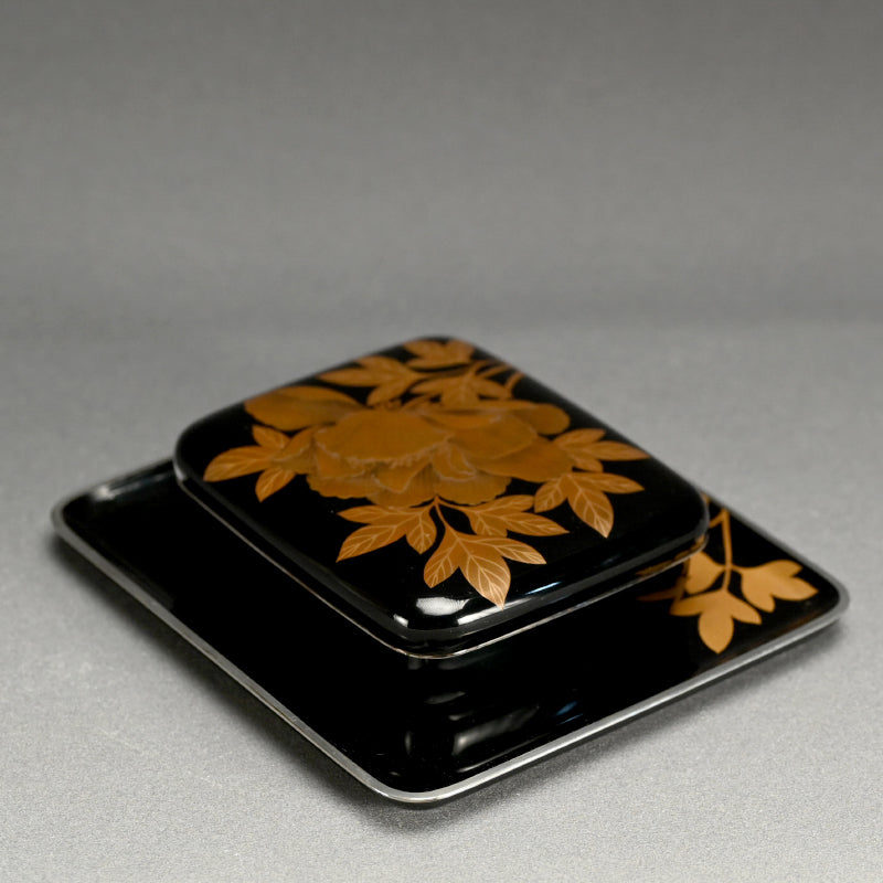 Antique Japanese Lacquer Box and Tray Set