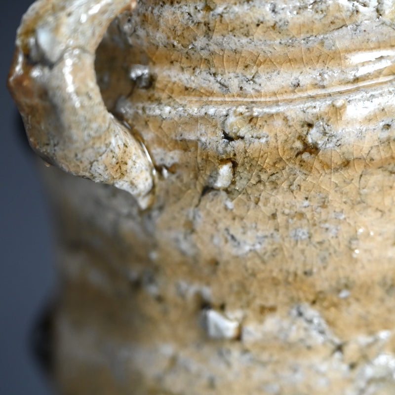 Iga Vase ー古谷 道生 “伊賀窯変花入”