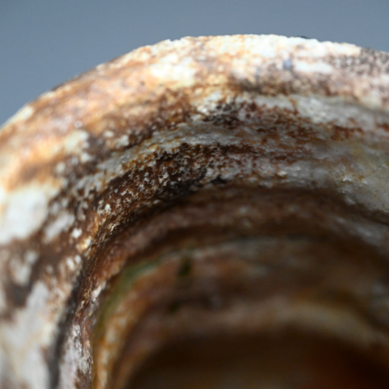 Iga Vase ー古谷 道生 “伊賀窯変花入”