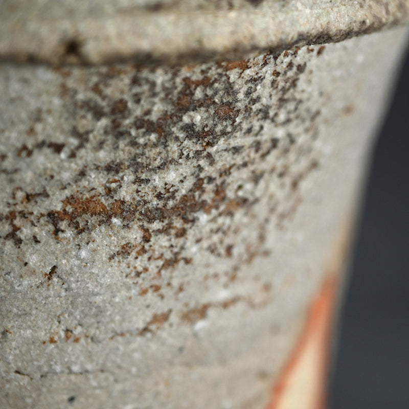 Contemporary Shigaraki Mizusashi ー古谷 道生 “信楽 鬼桶水指”