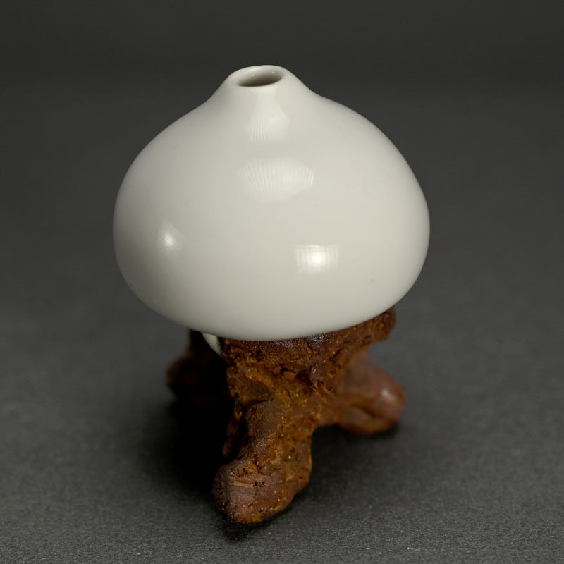 Single Flower Sculptural Vase by Fukazawa Ion ー深澤 伊穏 “石ノ上 花器”