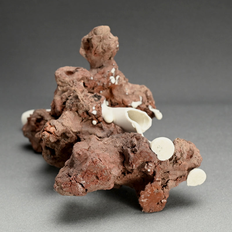 Ceramic Vase ー深澤 伊穏 “pipe 01 花器”