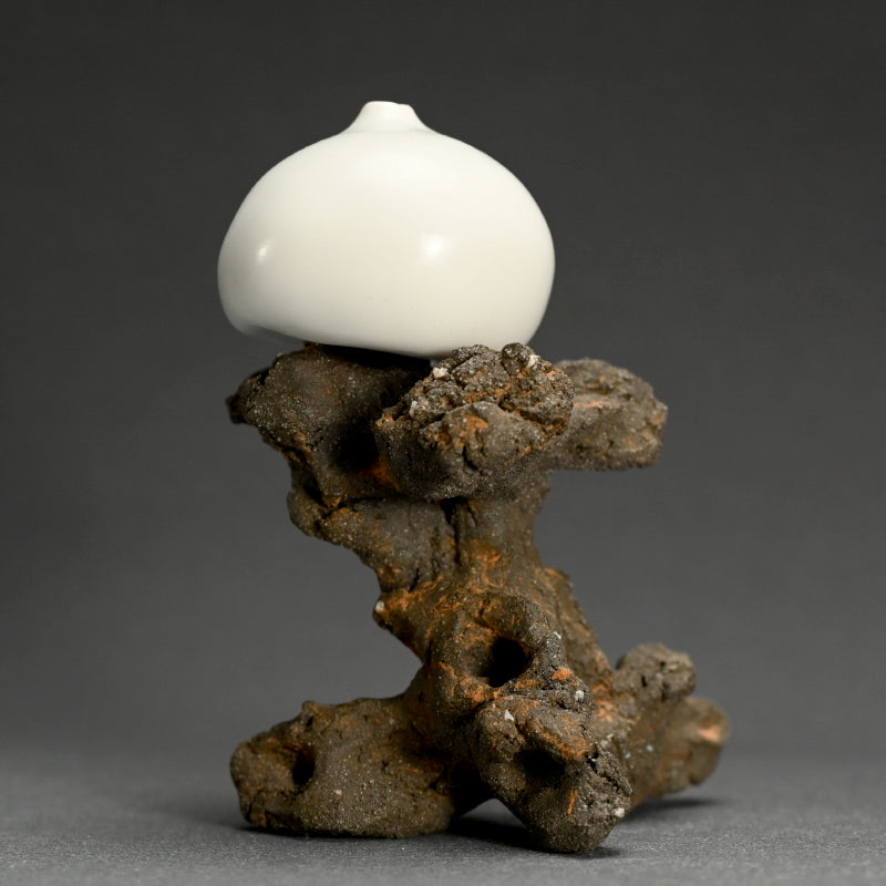 Sculptural Single Flower Vase ー深澤 伊穏 “石ノ上 花器”