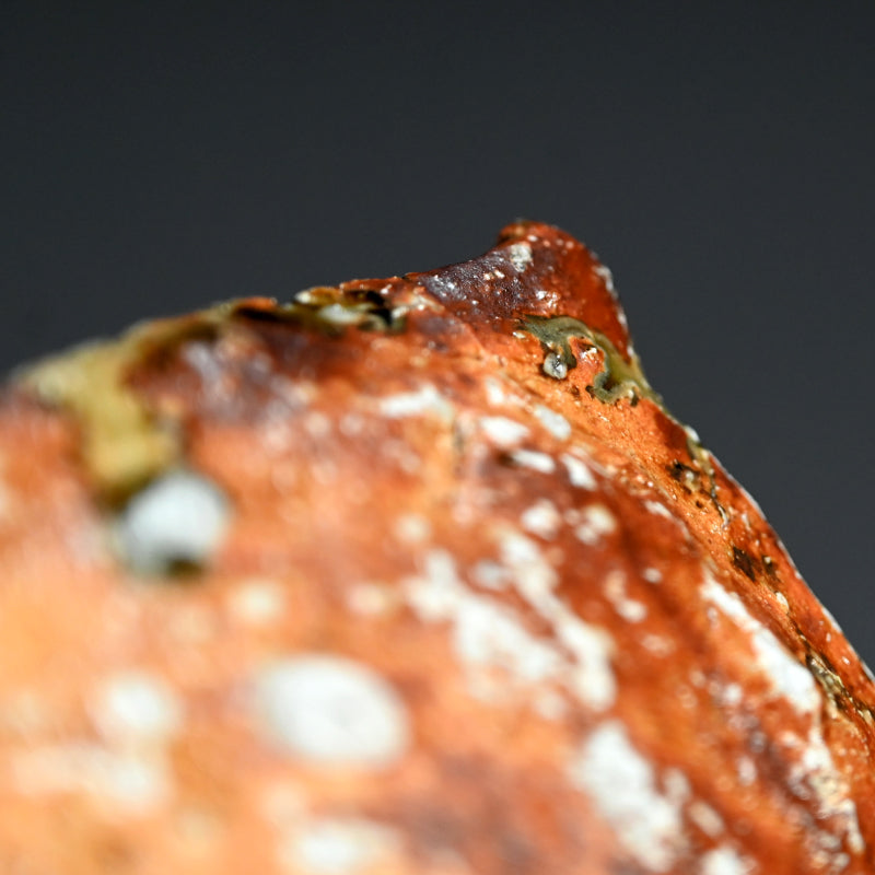 Ash Glazed Kakuzara Squared Plate ー村越 琢磨 “灰釉 轆轤 角皿”