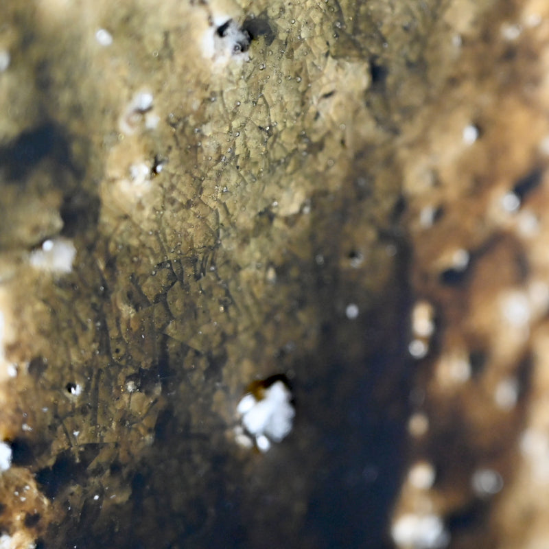 Heavily Glazed Emerald Slab ー村越 琢磨 “灰釉 板盤”