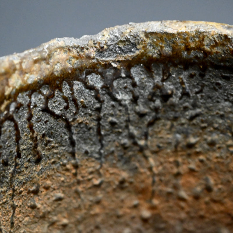 Fabulous Rotsubo Crucible re-purposed as a Vase