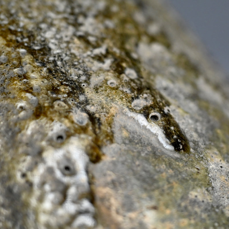 Fabulous Rotsubo Crucible re-purposed as a Vase