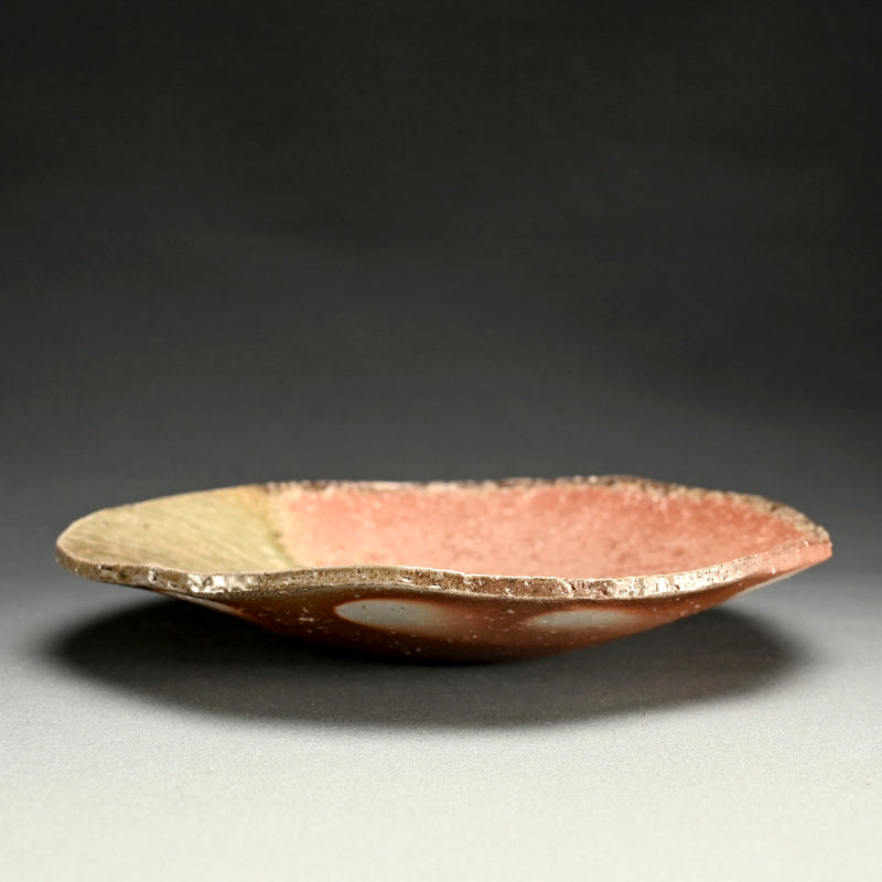 Shigaraki Ozara ー杉元貞光 "信楽 丸皿"