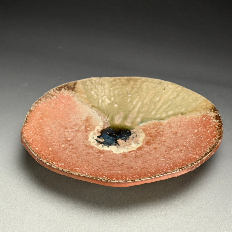 Shigaraki Ozara ー杉元貞光 "信楽 丸皿"