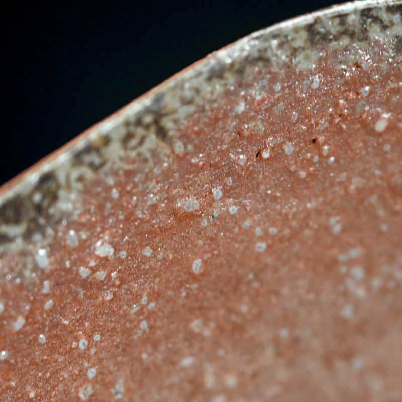 Shigaraki Ozara ー杉元貞光 "信楽 丸皿"