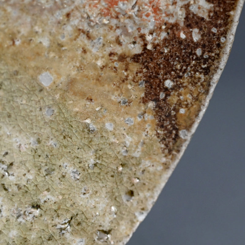 Shigaraki Ozara ー杉元貞光 "信楽 丸皿"