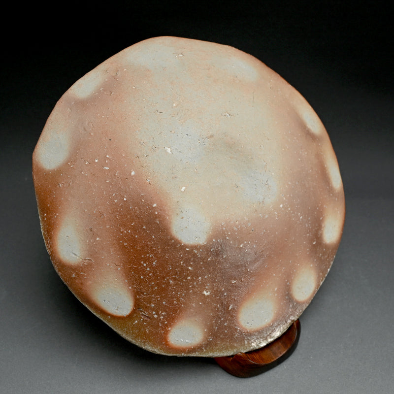 Shigaraki Ozara ー杉元貞光 "信楽 丸皿"