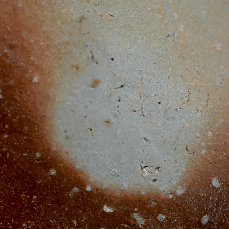 Shigaraki Ozara ー杉元貞光 "信楽 丸皿"