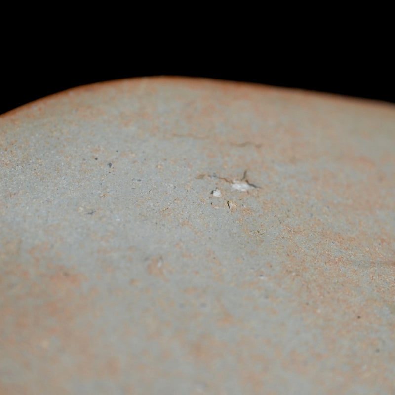 Shigaraki Ozara ー杉元貞光 "信楽 丸皿"