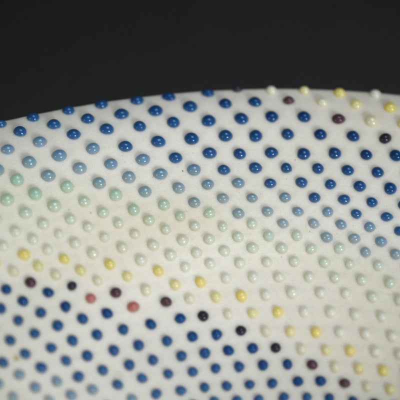 Ceramic Plate ー岡安 真美 “reflection”