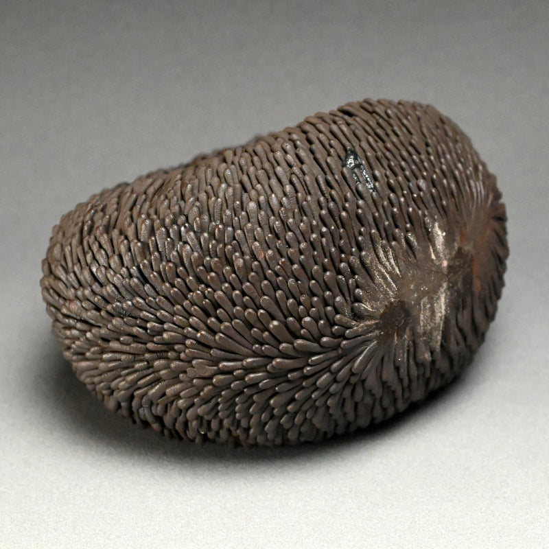 Enigmatic Ring Ceramic Sculpture ータカハシ アオイ “房房 -循環”