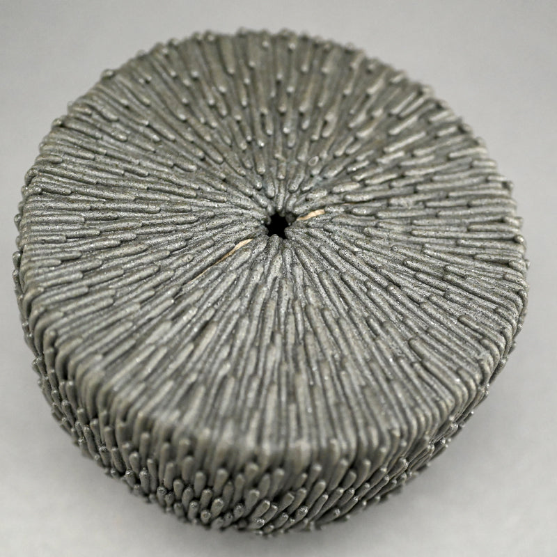 Contemporary Half-sphere Sculpture ータカハシ アオイ “房房 -盌”