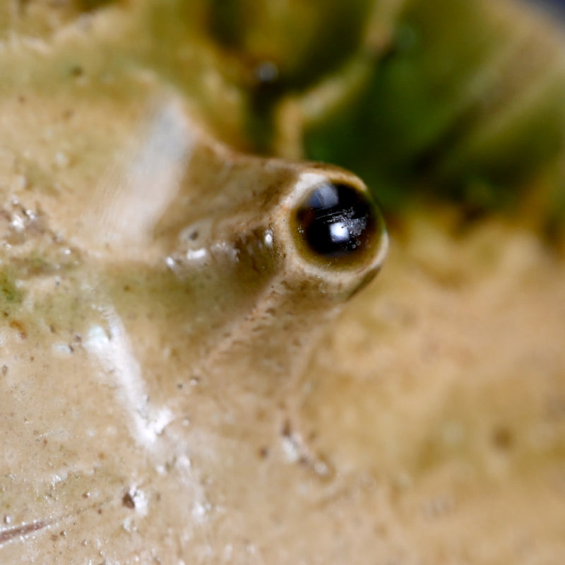 Swirling Oribe Platter ー十四代 加藤 康景 "織部皿"