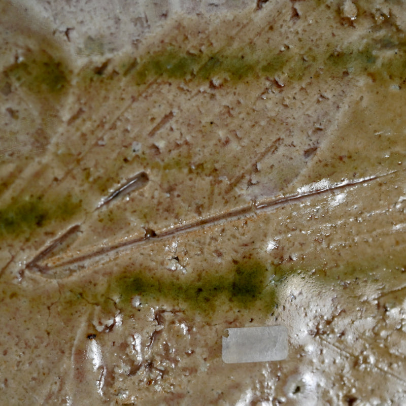 Swirling Oribe Platter ー十四代 加藤 康景 "織部皿"