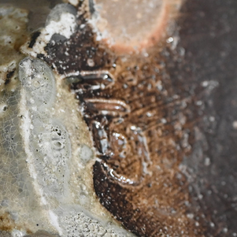 Ujoyaki Natural Ash Glaze Vase ー今井 理佳 "自然釉 壺" 銘 老瀑