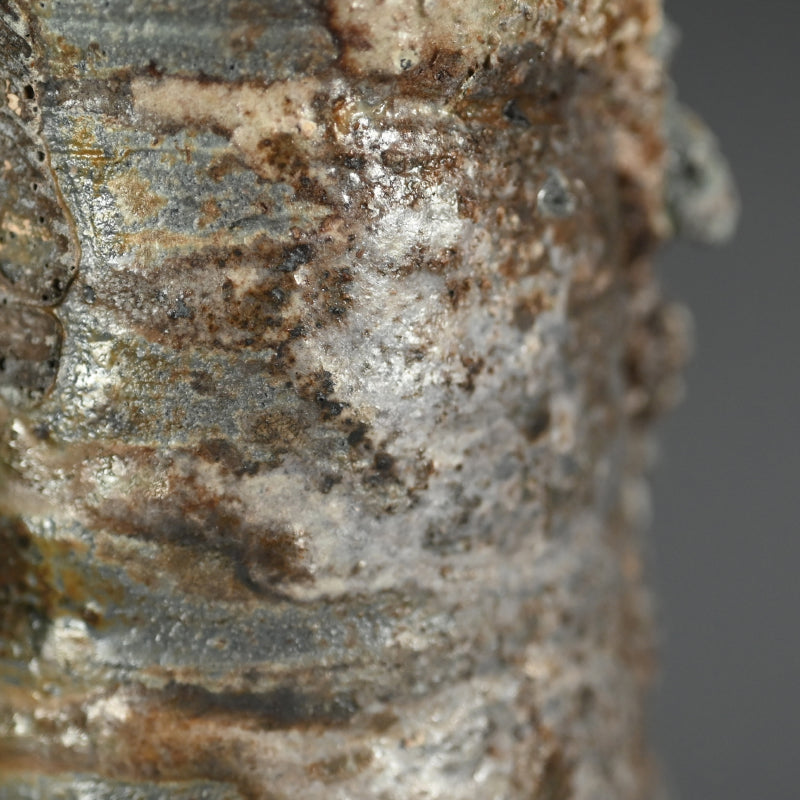 Radical Hai-Kaburi Ash-glazed Vase ー今井 理佳 "窯変 花生"