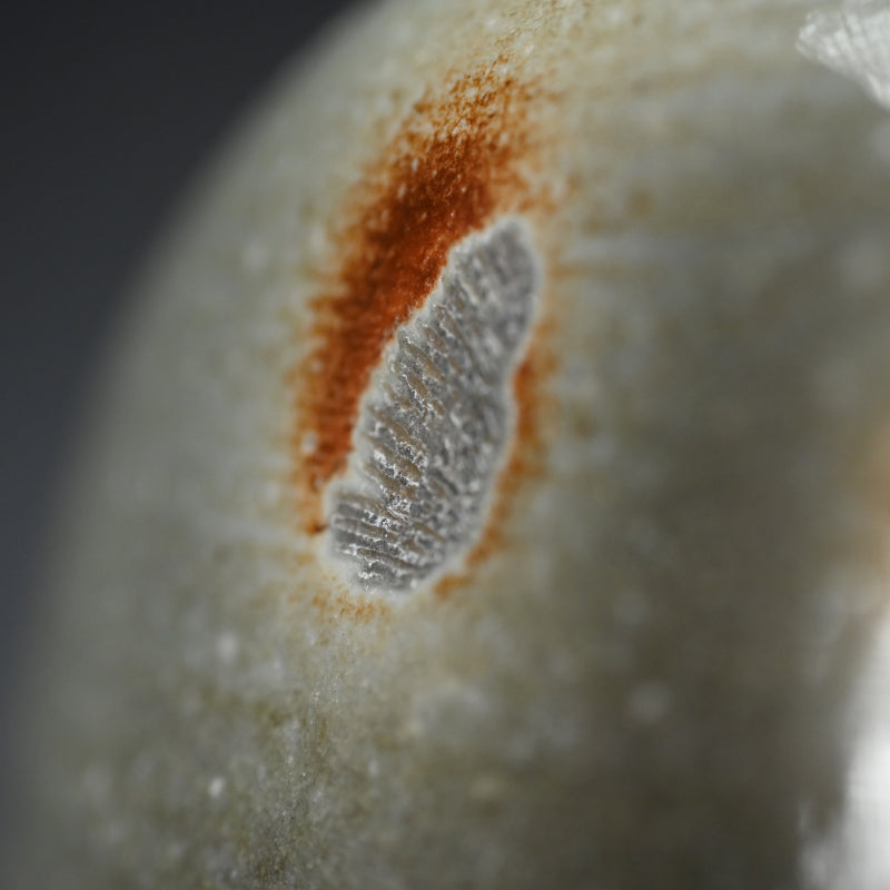 Natural Ash Glazed Vase ー今井理佳 "自然釉 扁壺"