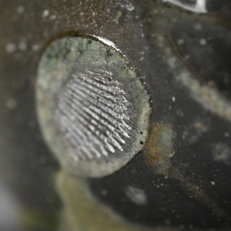 Natural Ash Glazed Vase ー今井理佳 "自然釉 扁壺"