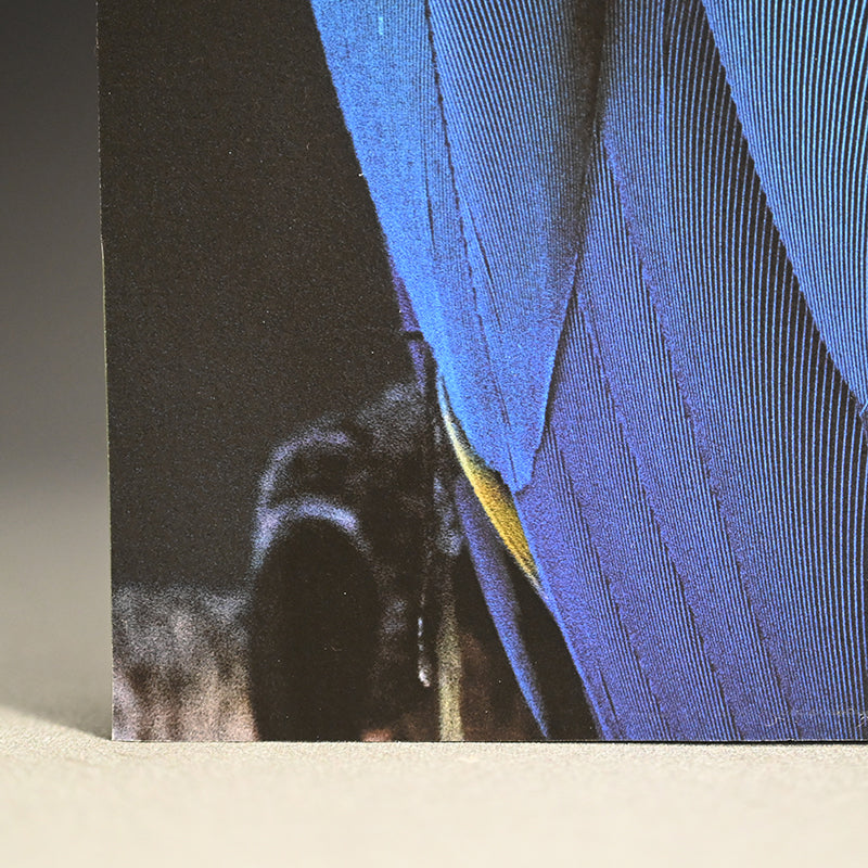 “Blue-and-yellow Macaw 1” ー堀谷 昇市