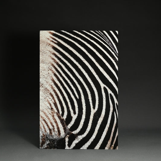 “Grant's Zebra 2” Contemporary Photograph ー堀谷 昇市